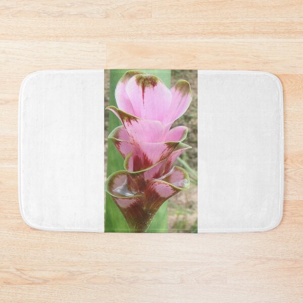 Item preview, Bird 602 Variety Dutch tulip-like Ginger planted by tubers found in northern Thailand designed and sold by greengoodnich.