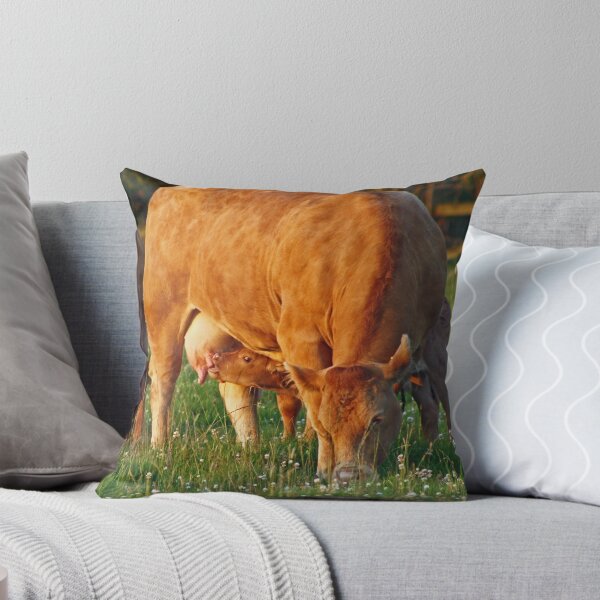 Item preview, Summer Calf designed and sold by Liz Lane.