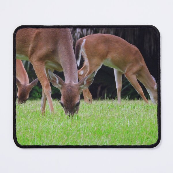 Item preview, Grazing Deer designed and sold by Jeffrey Mask.