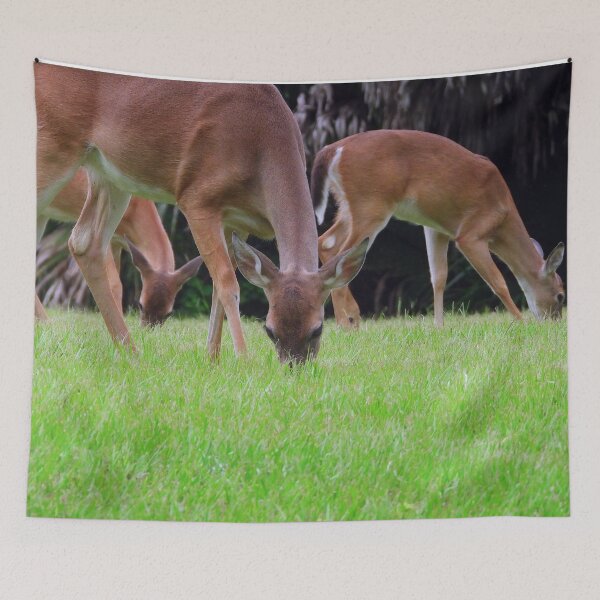 Item preview, Grazing Deer designed and sold by Jeffrey Mask.