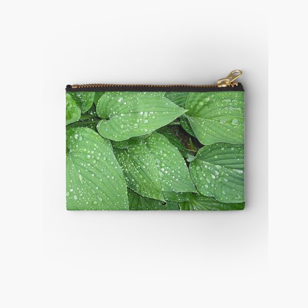 Aperçu de l'œuvre After The Rain - Hostas créée et vendue par MagsWilliamson.