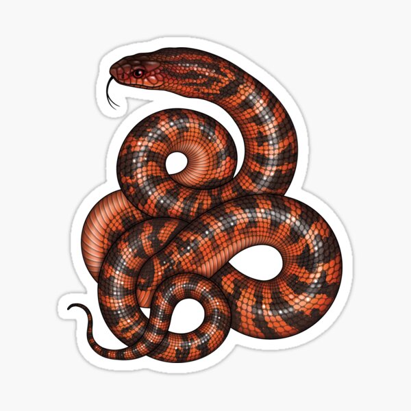 Item preview, Collett's Snake designed and sold by miss-varanus.