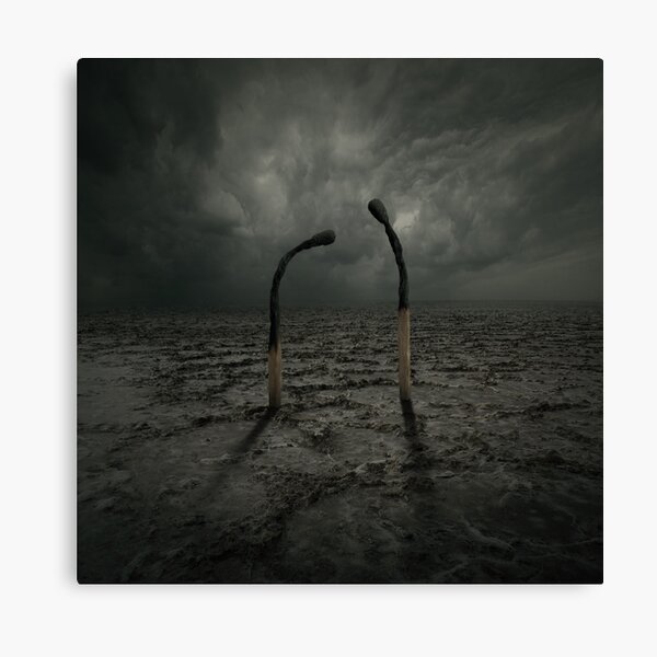 Not Arguing Canvas Print