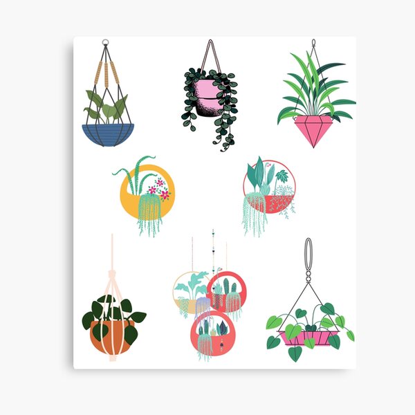 Item preview, Hanging Planters designed and sold by infazbdeen.