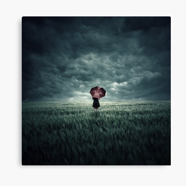 Storm is Coming Canvas Print