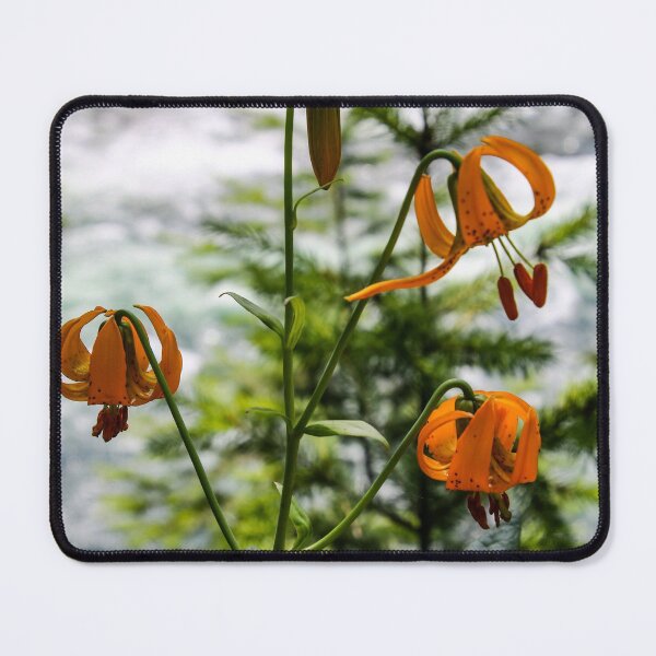 Item preview, burst of orange by the river designed and sold by Perggals© - Stacey Turner.
