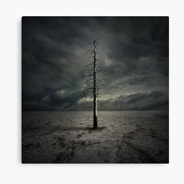 Alone Canvas Print