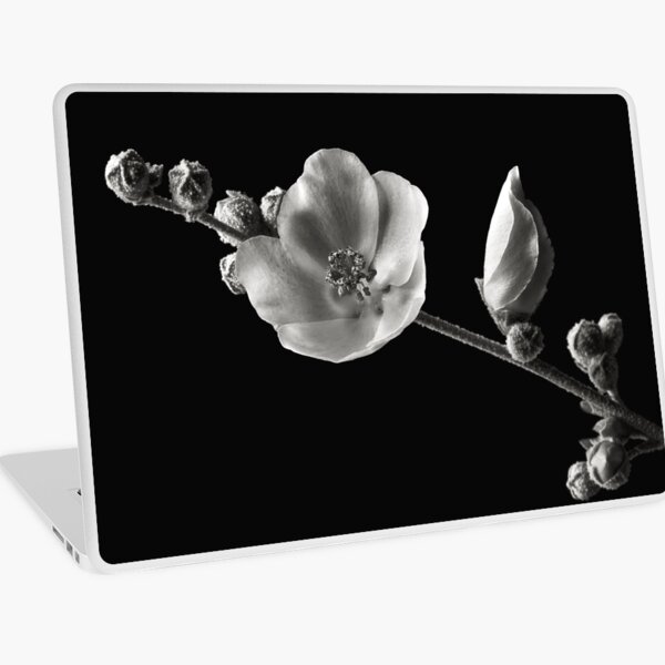 Chaparral Mallow In Black & White Laptop Skin