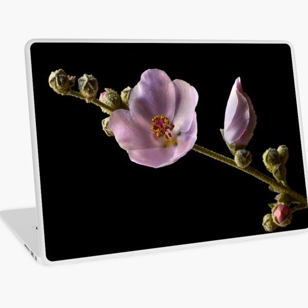 Chaparral Mallow Laptop Skin