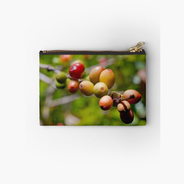 Item preview, COFFEE BEAN BUSH QUEENSLAND AUSTRALIA designed and sold by escapeartist.