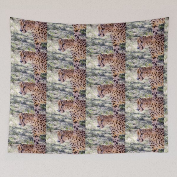Item preview, Cheetah ... Save the African Wild Cats designed and sold by Jensphotos.