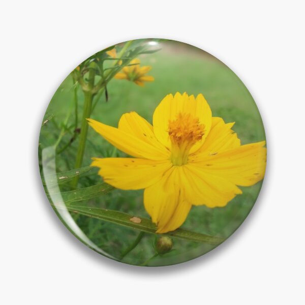 Item preview, Yellow sulfur cosmos flower designed and sold by assstono3027.