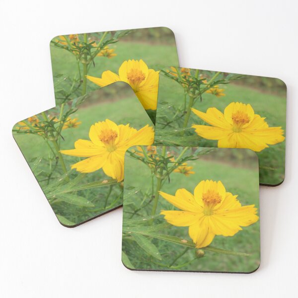 Item preview, Yellow sulfur cosmos flower designed and sold by assstono3027.