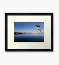Flying with Humour Framed Print