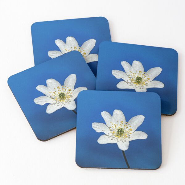 Item preview, Wood anemone designed and sold by AlidaArt.