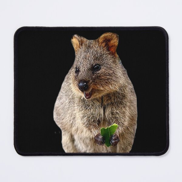 Item preview, As cute and happy as a Quokka designed and sold by pnkpopcorn.