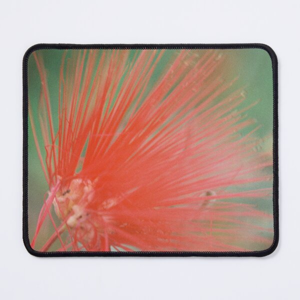 Item preview, Bottle Brush Flower Sonoran Desert Arizona designed and sold by MOP-tees.