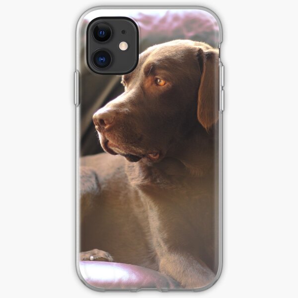 Daydream Chocolate Labrador iPhone Soft Case