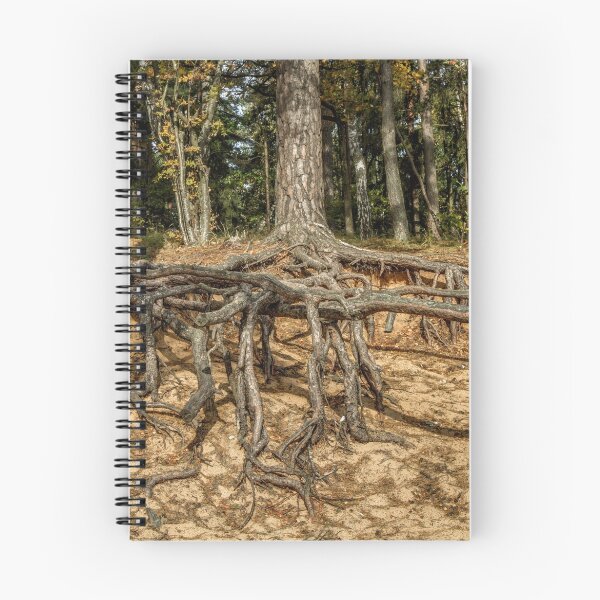 Item preview, Tree with their big roots designed and sold by Geraldas Galinauskas.