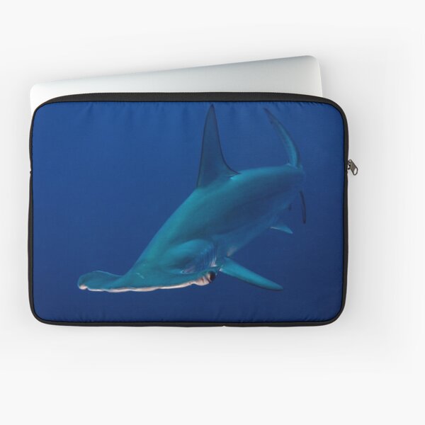 Hammerhead Laptop Sleeve