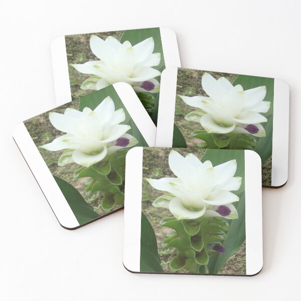 Item preview, Chiang Rai Snow, When traveling in Thailand, you will find this kind of flower. designed and sold by greengoodnich.