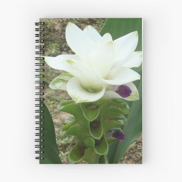 Item preview, Chiang Rai Snow, When traveling in Thailand, you will find this kind of flower. designed and sold by greengoodnich.