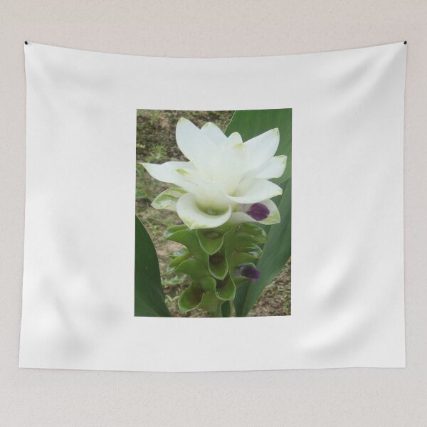 Item preview, Chiang Rai Snow, When traveling in Thailand, you will find this kind of flower. designed and sold by greengoodnich.