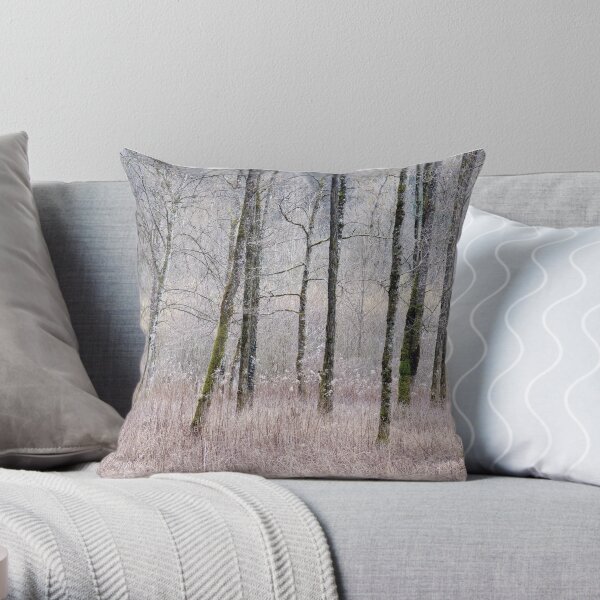 Throw Pillow