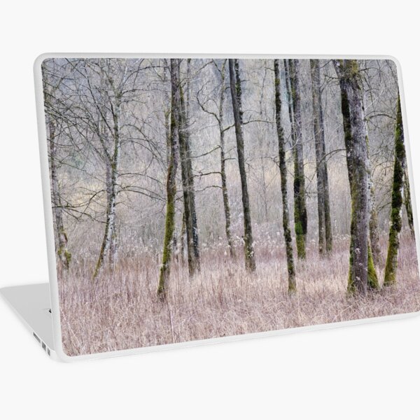 Macbook Air 13" (2015)