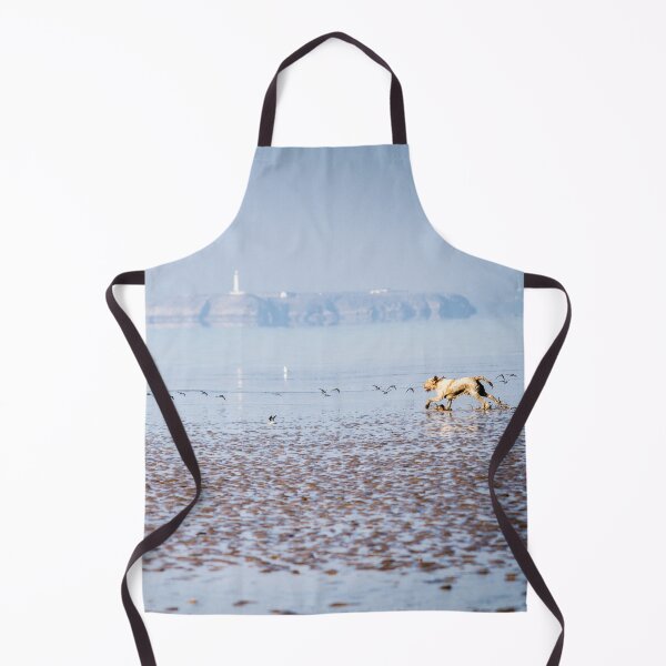 Item preview, Sea bird chasing Spinone by heidiannemorris designed and sold by FOLK ART FUSION.