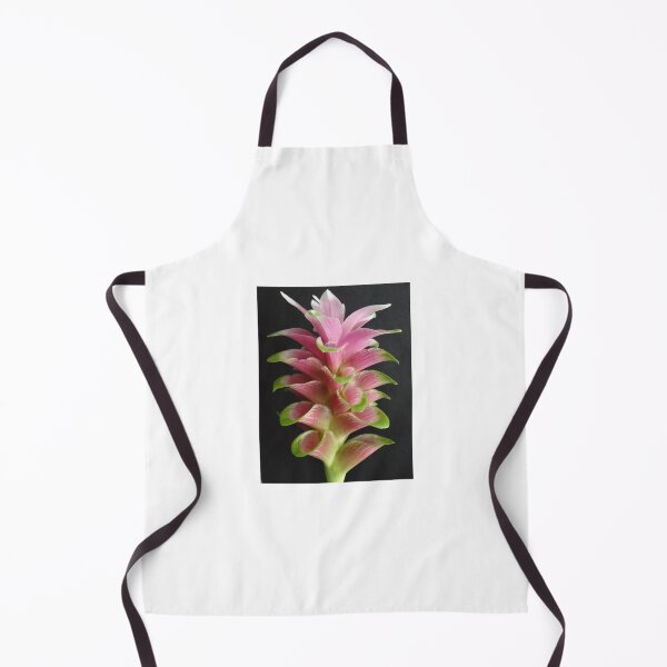 Item preview, Curcuma graphic flower in Curcuma sp, commonly grown in Thailand grow well designed and sold by greengoodnich.