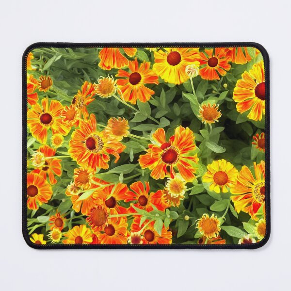 Item preview, Helenium Mardi Gras 'Helbro' designed and sold by FOLK ART FUSION.