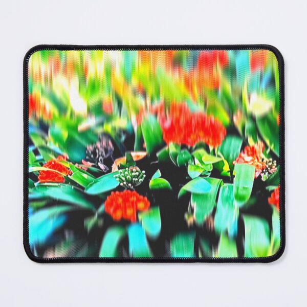 Item preview, Foliage Focal Point | Trick Photography | Artistic Nature designed and sold by JillyJ05.