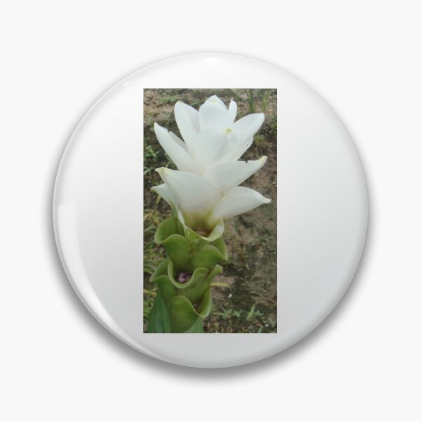 Artikelvorschau, Weiße Montblanc schöne Blume, kann in Thailand gefunden werden. eine wirtschaftliche Blüte entworfen und verkauft von greengoodnich.