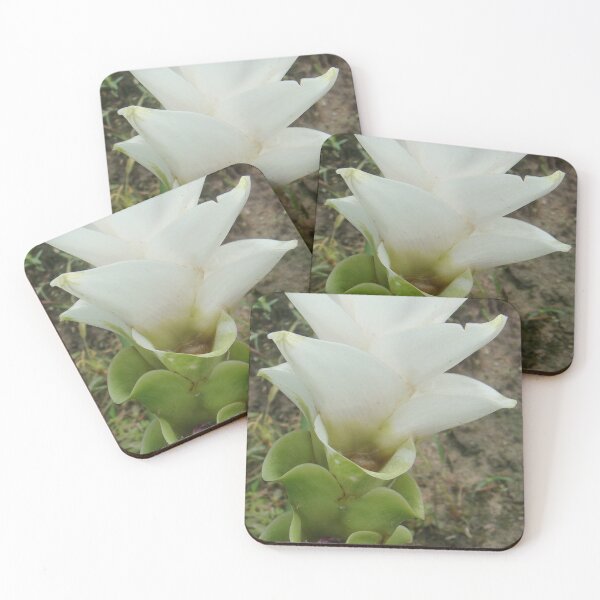 Item preview, White Montblanc beautiful flower, can be found in Thailand. an economic flower designed and sold by greengoodnich.