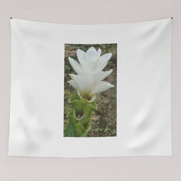 Item preview, White Montblanc beautiful flower, can be found in Thailand. an economic flower designed and sold by greengoodnich.