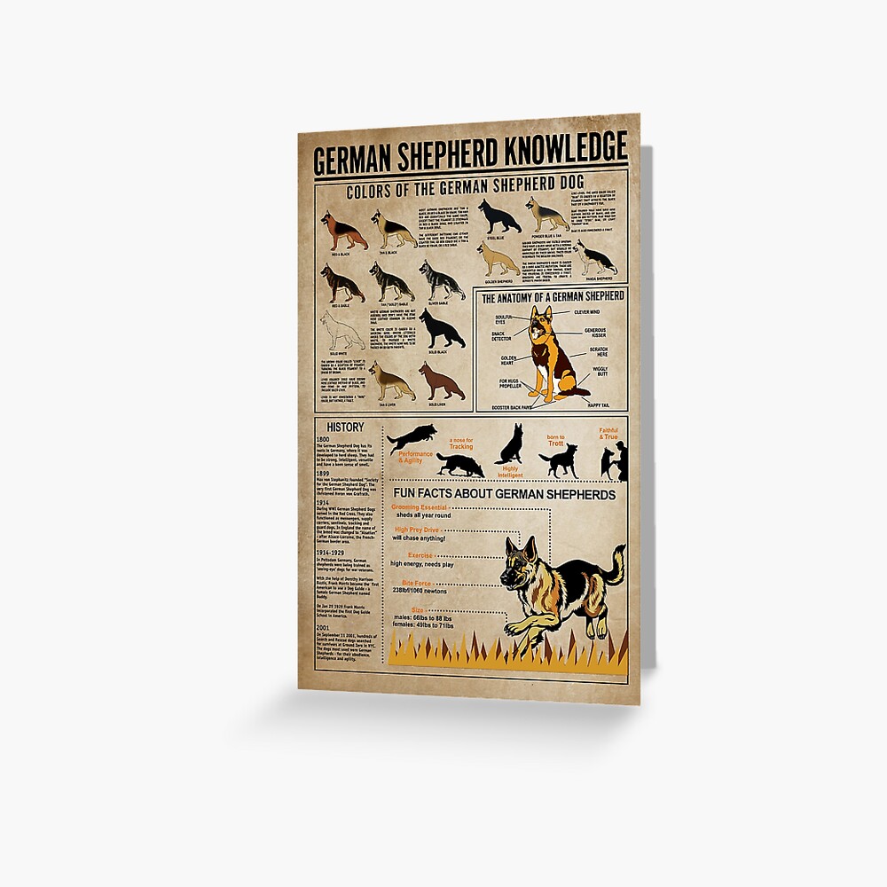 Carte de vœux for Sale avec l'œuvre « Affiche de connaissance du