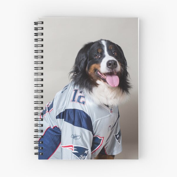 Item preview, Bernese cushion 2 designed and sold by Penel.