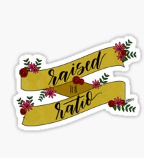 Raised the Ratio - Georgia Tech Sticker