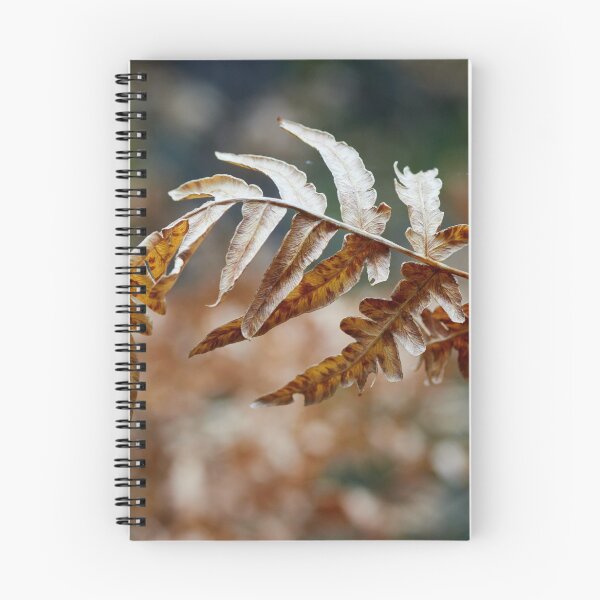 Item preview, Bracken bend designed and sold by Jouko Lehto Photography.