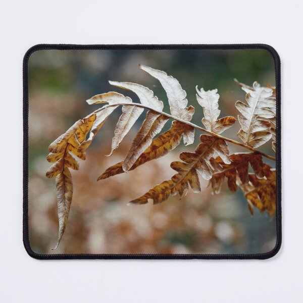 Item preview, Bracken bend designed and sold by Jouko Lehto Photography.