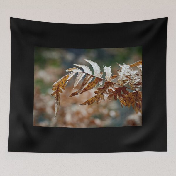 Item preview, Bracken bend designed and sold by Jouko Lehto Photography.