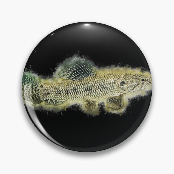 Item preview, Wolf tetra - Hoplias malabaricus designed and sold by AquariumLutter.