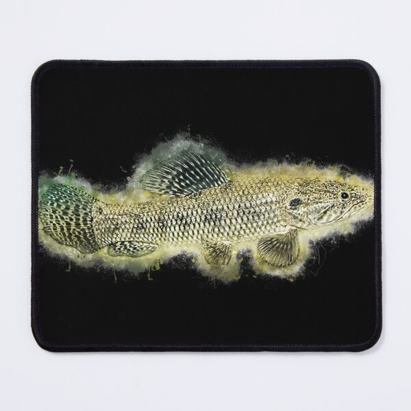 Item preview, Wolf tetra - Hoplias malabaricus designed and sold by AquariumLutter.