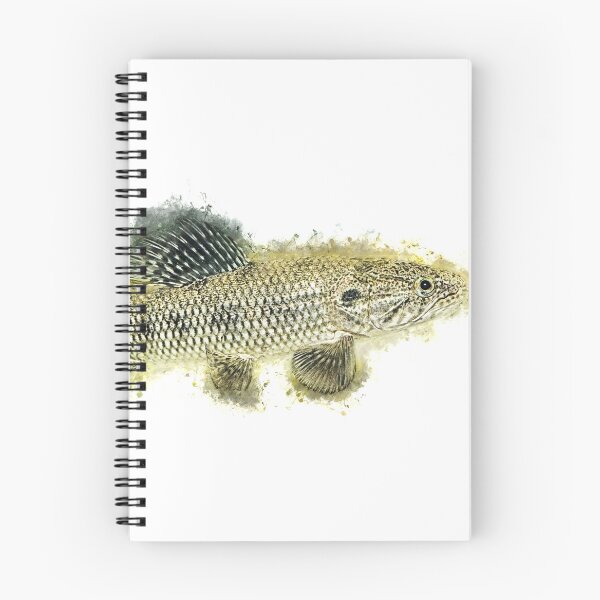 Item preview, Wolf tetra - Hoplias malabaricus designed and sold by AquariumLutter.