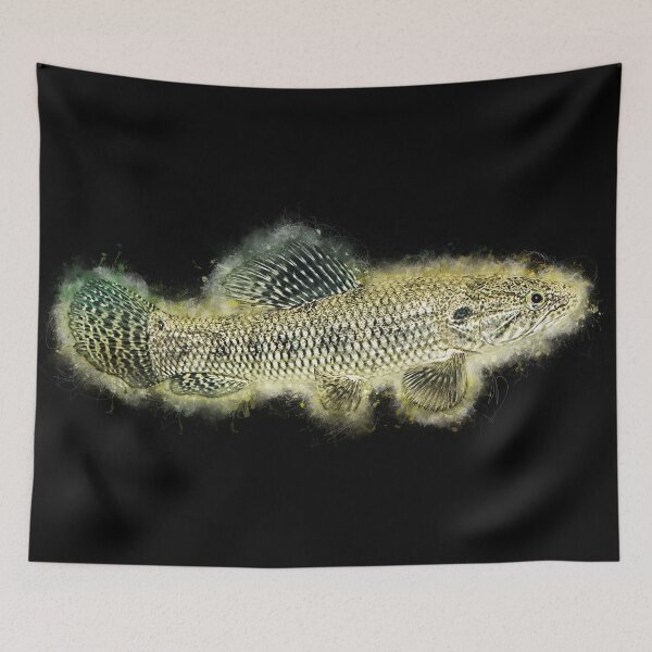 Item preview, Wolf tetra - Hoplias malabaricus designed and sold by AquariumLutter.