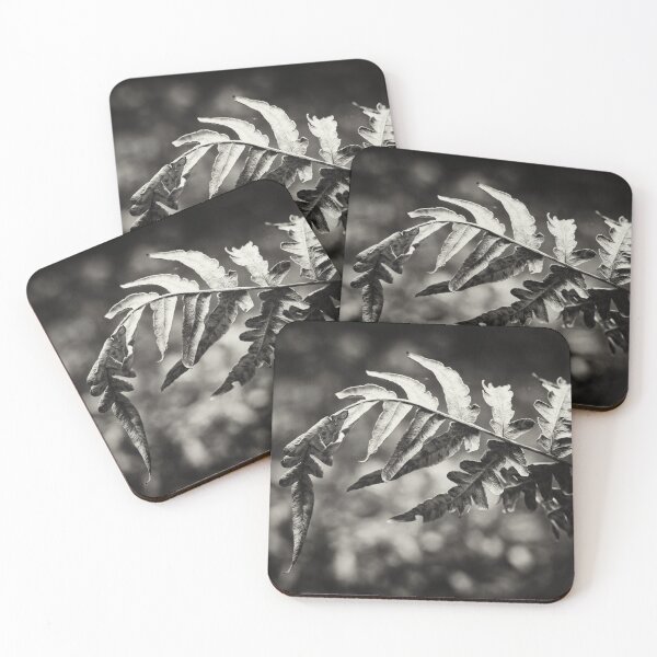 Item preview, Bracken bend bw designed and sold by Jouko Lehto Photography.