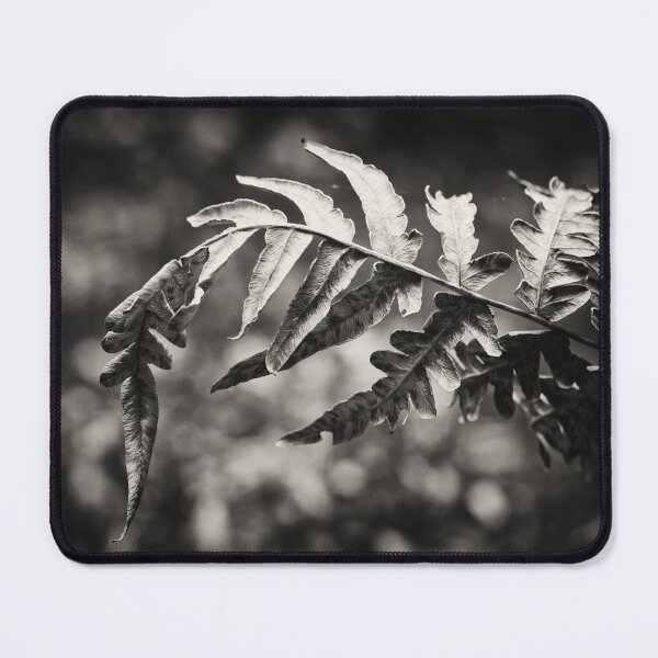 Item preview, Bracken bend bw designed and sold by Jouko Lehto Photography.