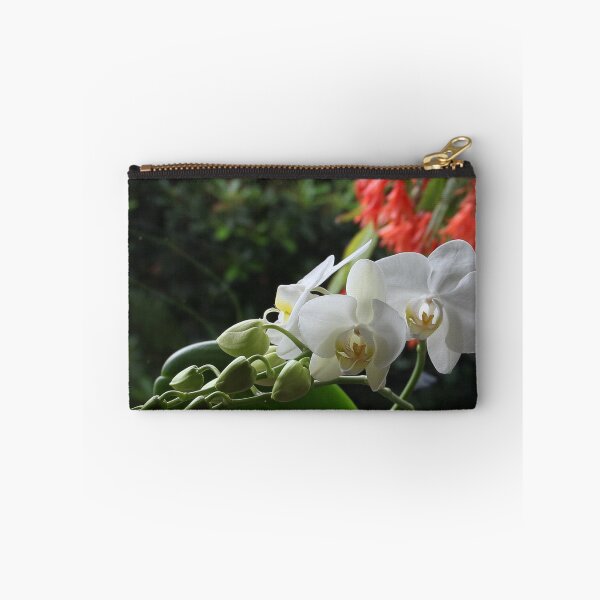 Item preview, Phaleanopsis - Kalanchoë designed and sold by Gilberte.