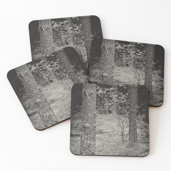 Item preview, The young one in the center designed and sold by Jouko Lehto Photography.